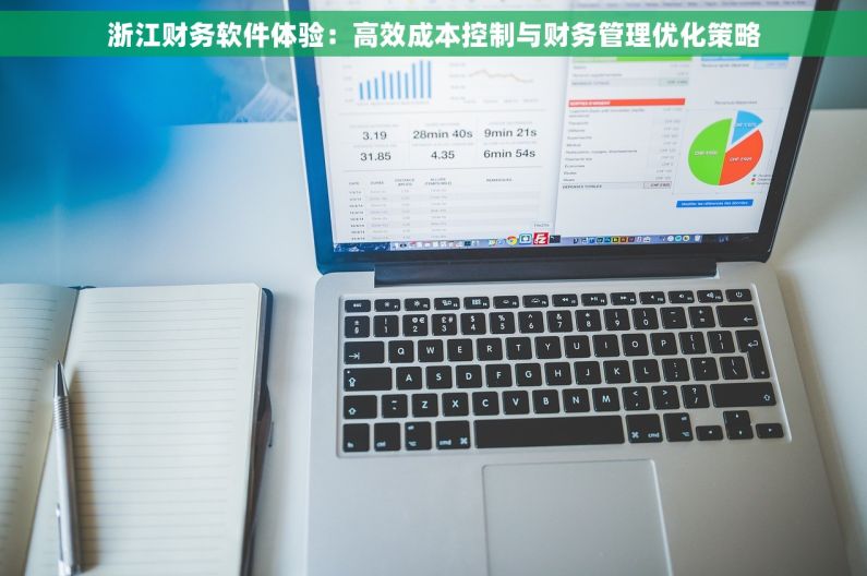浙江财务软件体验：高效成本控制与财务管理优化策略
