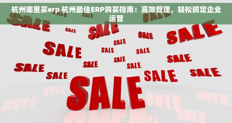 杭州哪里买erp 杭州最佳ERP购买指南：高效管理，轻松搞定企业运营