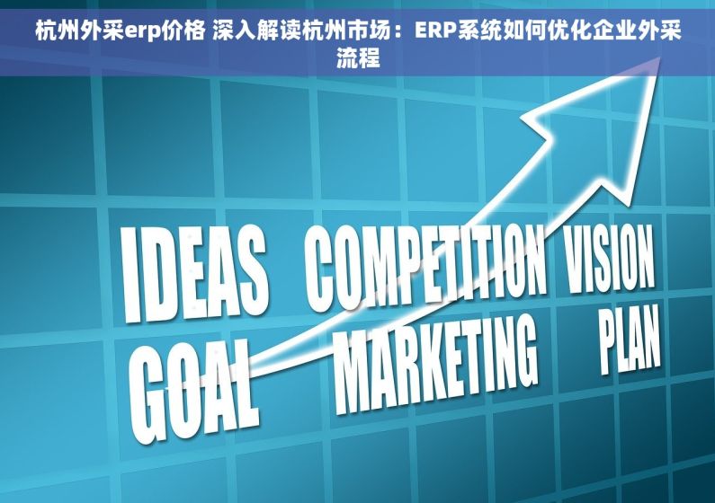 杭州外采erp价格 深入解读杭州市场：ERP系统如何优化企业外采流程