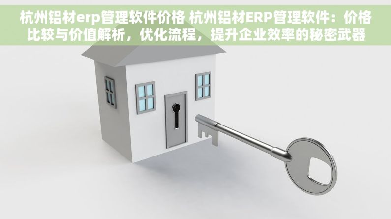 杭州铝材erp管理软件价格 杭州铝材ERP管理软件：价格比较与价值解析，优化流程，提升企业效率的秘密武器