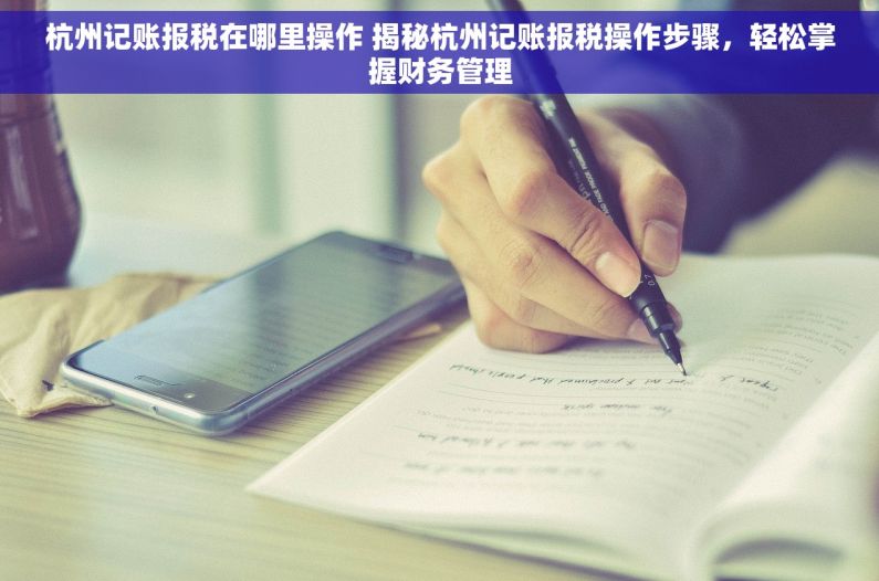 杭州记账报税在哪里操作 揭秘杭州记账报税操作步骤，轻松掌握财务管理