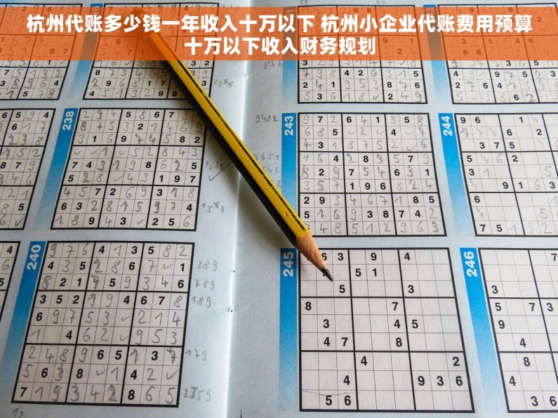 杭州代账多少钱一年收入十万以下 杭州小企业代账费用预算十万以下收入财务规划