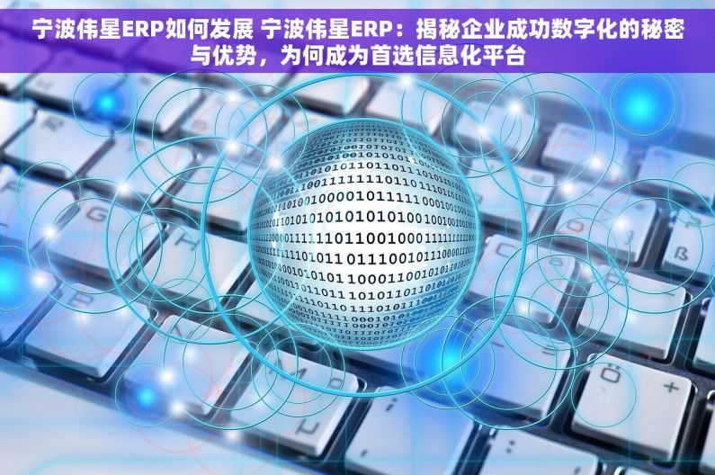 宁波伟星ERP如何发展 宁波伟星ERP：揭秘企业成功数字化的秘密与优势，为何成为首选信息化平台
