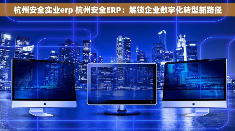 杭州安全实业erp 杭州安全ERP：解锁企业数字化转型新路径