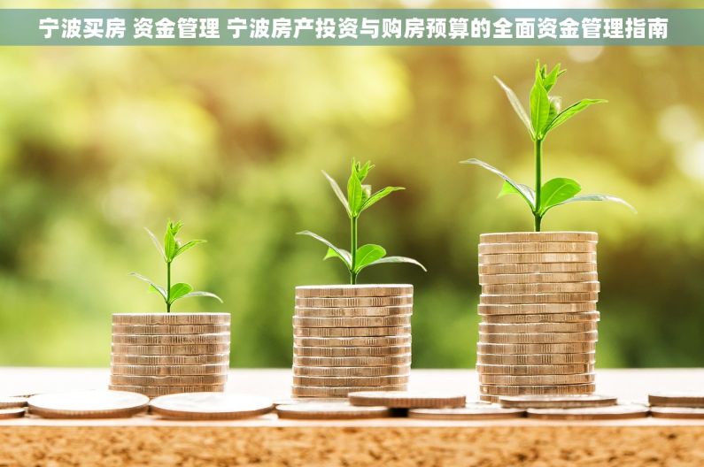 宁波买房 资金管理 宁波房产投资与购房预算的全面资金管理指南