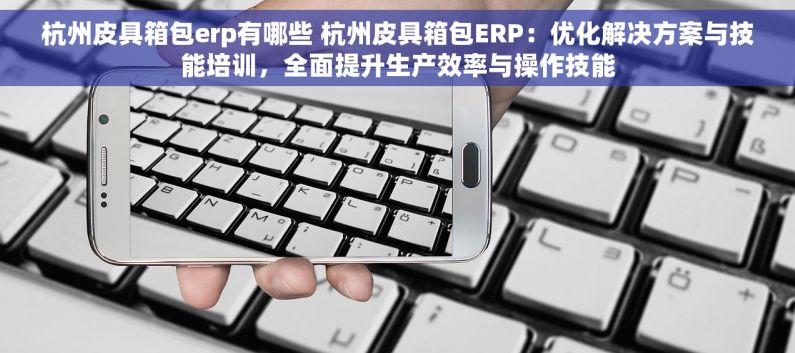 杭州皮具箱包erp有哪些 杭州皮具箱包ERP：优化解决方案与技能培训，全面提升生产效率与操作技能