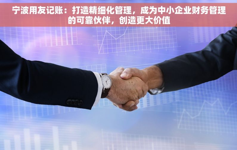 宁波用友记账：打造精细化管理，成为中小企业财务管理的可靠伙伴，创造更大价值