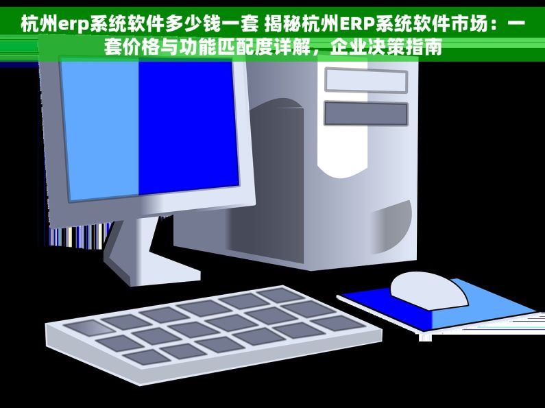 杭州erp系统软件多少钱一套 揭秘杭州ERP系统软件市场：一套价格与功能匹配度详解，企业决策指南