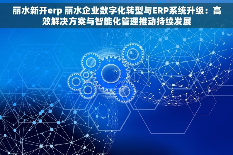 丽水新开erp 丽水企业数字化转型与ERP系统升级：高效解决方案与智能化管理推动持续发展