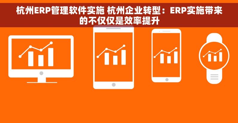 杭州ERP管理软件实施 杭州企业转型：ERP实施带来的不仅仅是效率提升