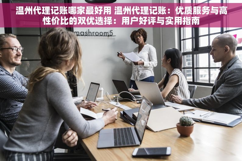 温州代理记账哪家最好用 温州代理记账：优质服务与高性价比的双优选择：用户好评与实用指南