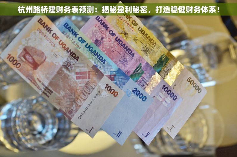 杭州路桥建财务表预测：揭秘盈利秘密，打造稳健财务体系！