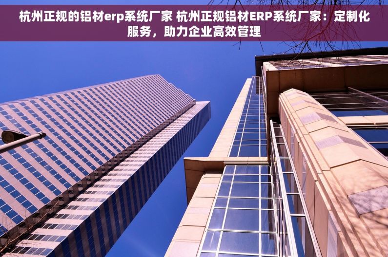 杭州正规的铝材erp系统厂家 杭州正规铝材ERP系统厂家：定制化服务，助力企业高效管理