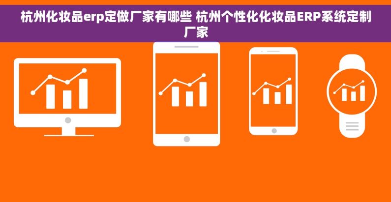杭州化妆品erp定做厂家有哪些 杭州个性化化妆品ERP系统定制厂家