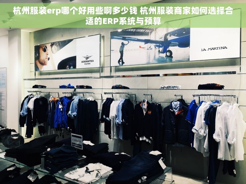 杭州服装erp哪个好用些啊多少钱 杭州服装商家如何选择合适的ERP系统与预算