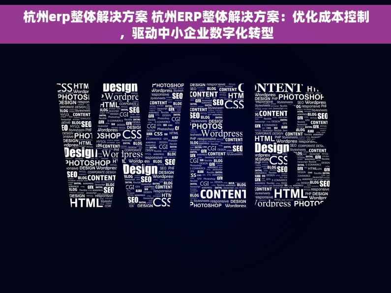 杭州erp整体解决方案 杭州ERP整体解决方案：优化成本控制，驱动中小企业数字化转型