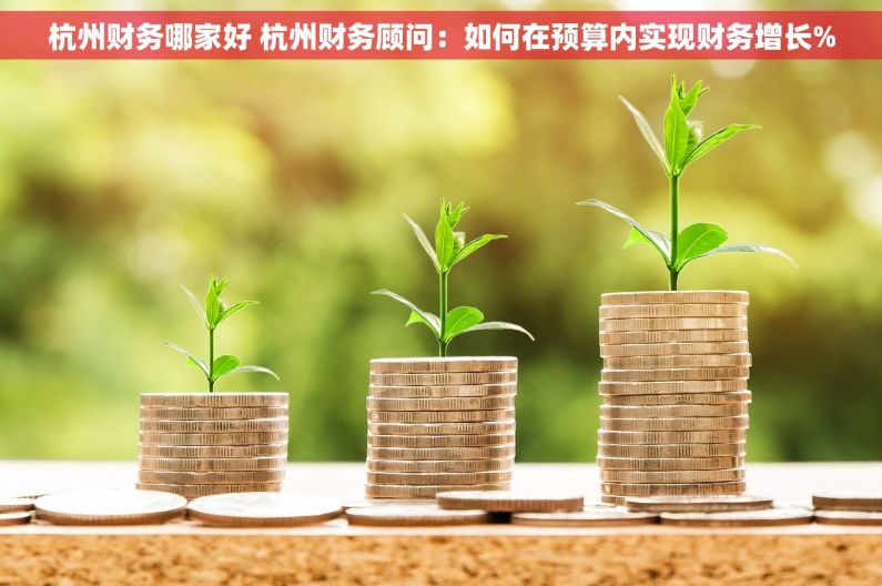 杭州财务哪家好 杭州财务顾问：如何在预算内实现财务增长%