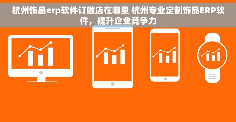 杭州饰品erp软件订做店在哪里 杭州专业定制饰品ERP软件，提升企业竞争力
