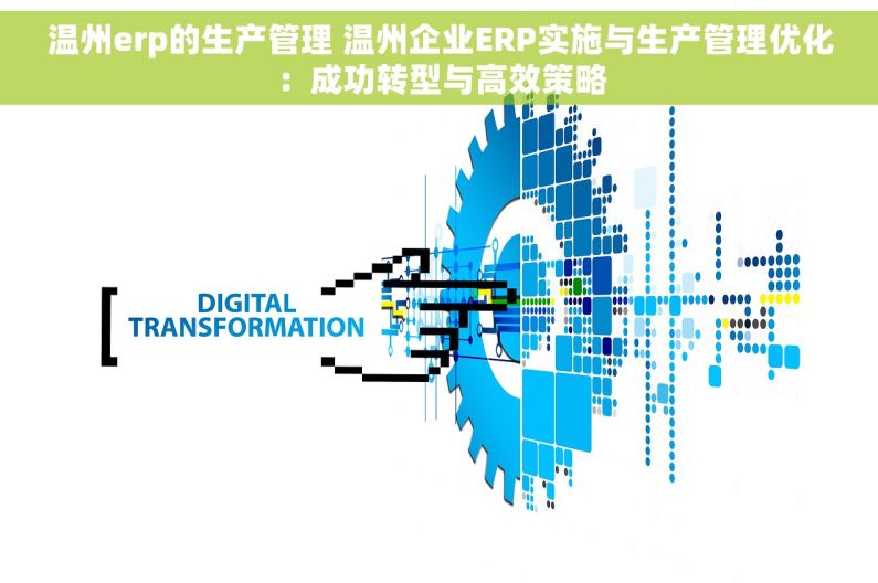 温州erp的生产管理 温州企业ERP实施与生产管理优化：成功转型与高效策略