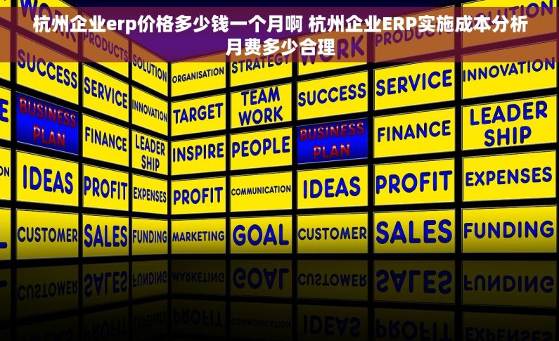 杭州企业erp价格多少钱一个月啊 杭州企业ERP实施成本分析月费多少合理