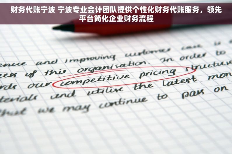 财务代账宁波 宁波专业会计团队提供个性化财务代账服务，领先平台简化企业财务流程