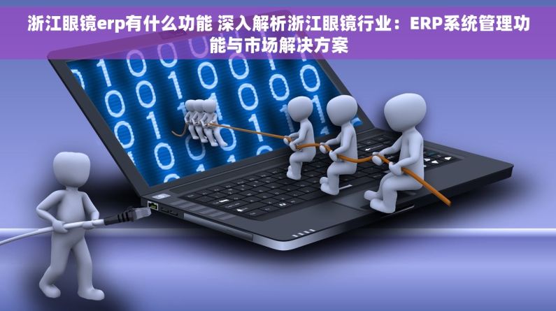 浙江眼镜erp有什么功能 深入解析浙江眼镜行业：ERP系统管理功能与市场解决方案