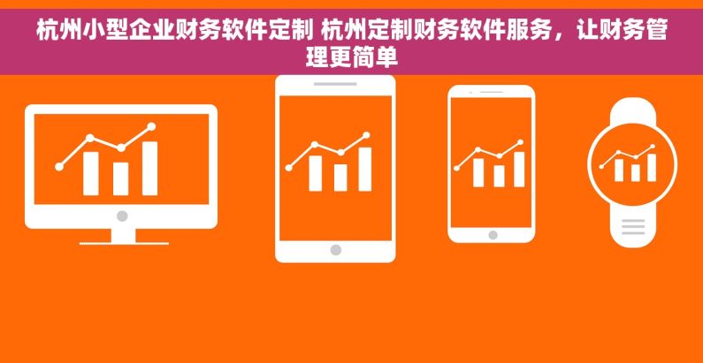 杭州小型企业财务软件定制 杭州定制财务软件服务，让财务管理更简单