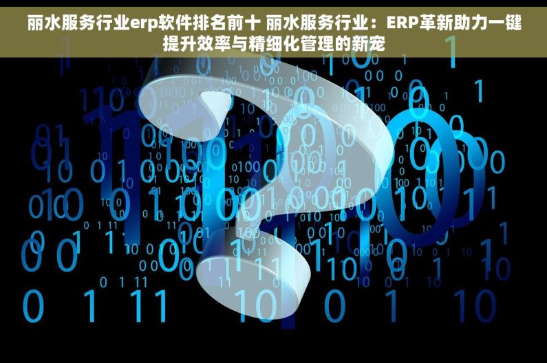 丽水服务行业erp软件排名前十 丽水服务行业：ERP革新助力一键提升效率与精细化管理的新宠