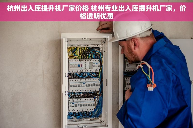 杭州出入库提升机厂家价格 杭州专业出入库提升机厂家，价格透明优惠