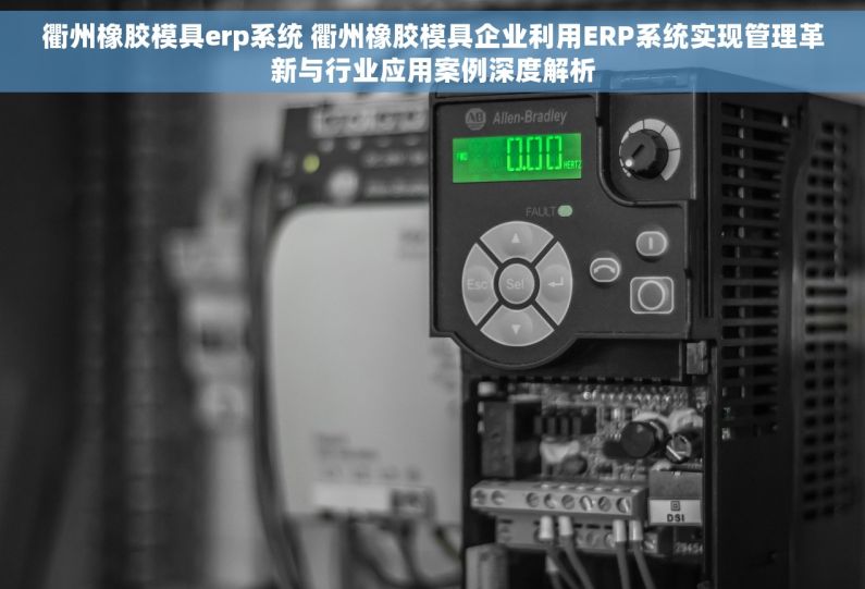 衢州橡胶模具erp系统 衢州橡胶模具企业利用ERP系统实现管理革新与行业应用案例深度解析
