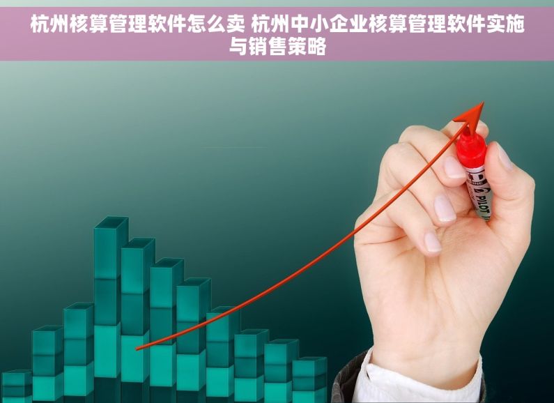 杭州核算管理软件怎么卖 杭州中小企业核算管理软件实施与销售策略