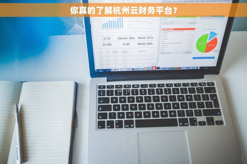 你真的了解杭州云财务平台？
