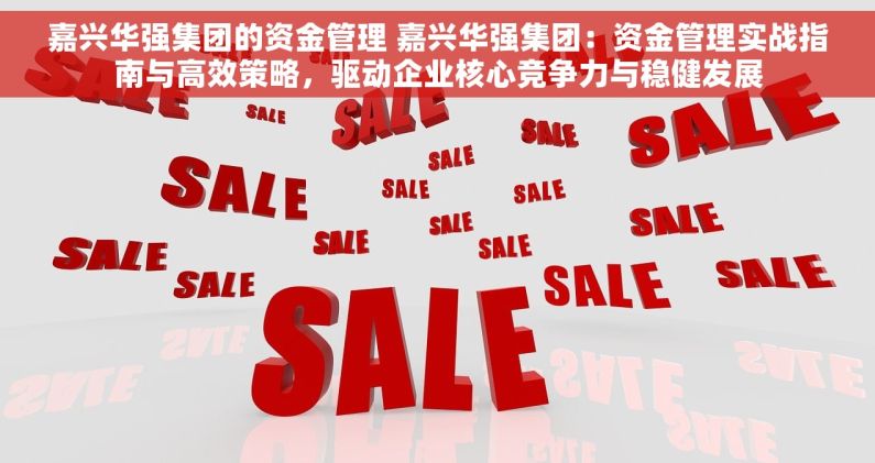 嘉兴华强集团的资金管理 嘉兴华强集团：资金管理实战指南与高效策略，驱动企业核心竞争力与稳健发展