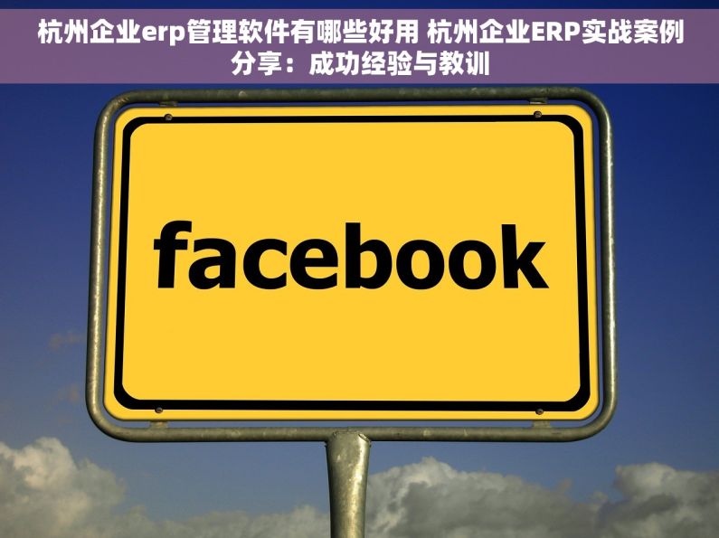 杭州企业erp管理软件有哪些好用 杭州企业ERP实战案例分享：成功经验与教训