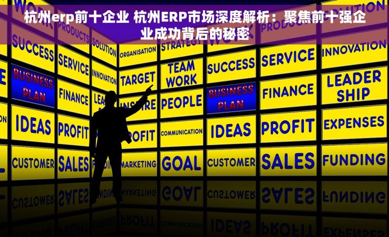 杭州erp前十企业 杭州ERP市场深度解析：聚焦前十强企业成功背后的秘密