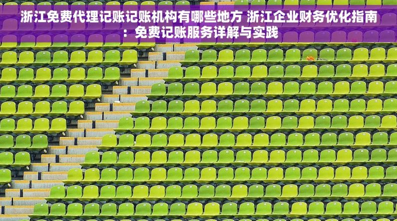 浙江免费代理记账记账机构有哪些地方 浙江企业财务优化指南：免费记账服务详解与实践