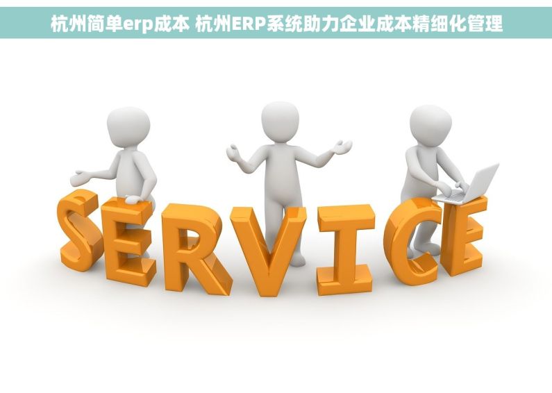 杭州简单erp成本 杭州ERP系统助力企业成本精细化管理