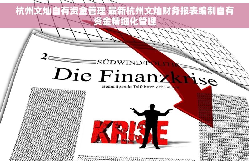 杭州文灿自有资金管理 最新杭州文灿财务报表编制自有资金精细化管理
