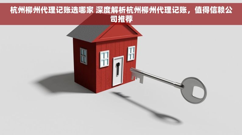杭州柳州代理记账选哪家 深度解析杭州柳州代理记账，值得信赖公司推荐