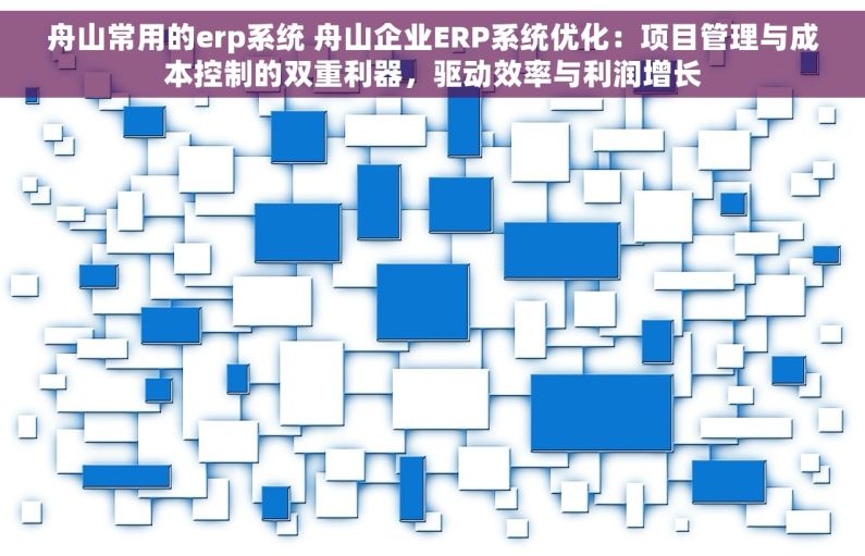 舟山常用的erp系统 舟山企业ERP系统优化：项目管理与成本控制的双重利器，驱动效率与利润增长