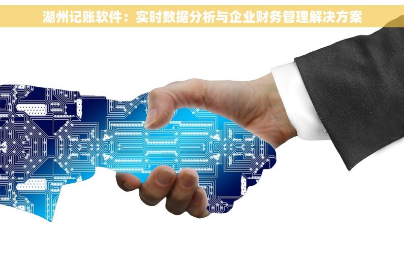 湖州记账软件：实时数据分析与企业财务管理解决方案