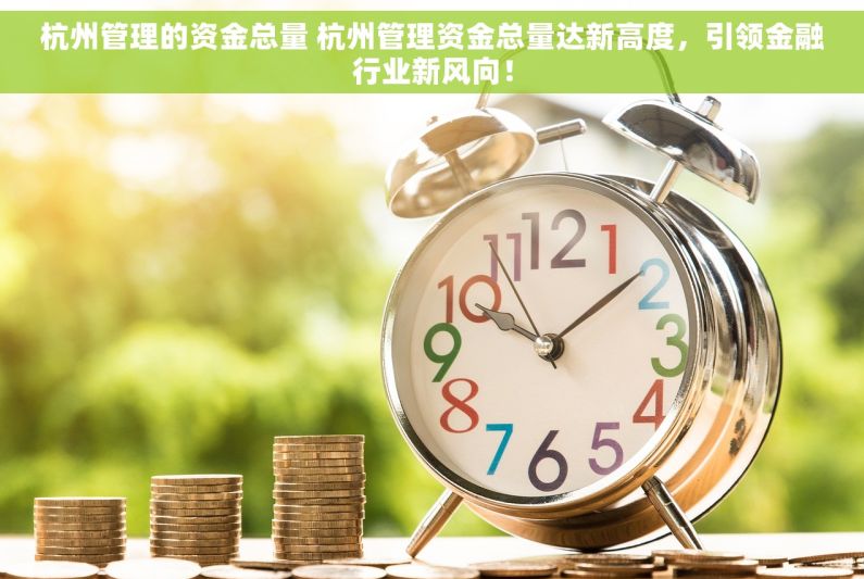 杭州管理的资金总量 杭州管理资金总量达新高度，引领金融行业新风向！