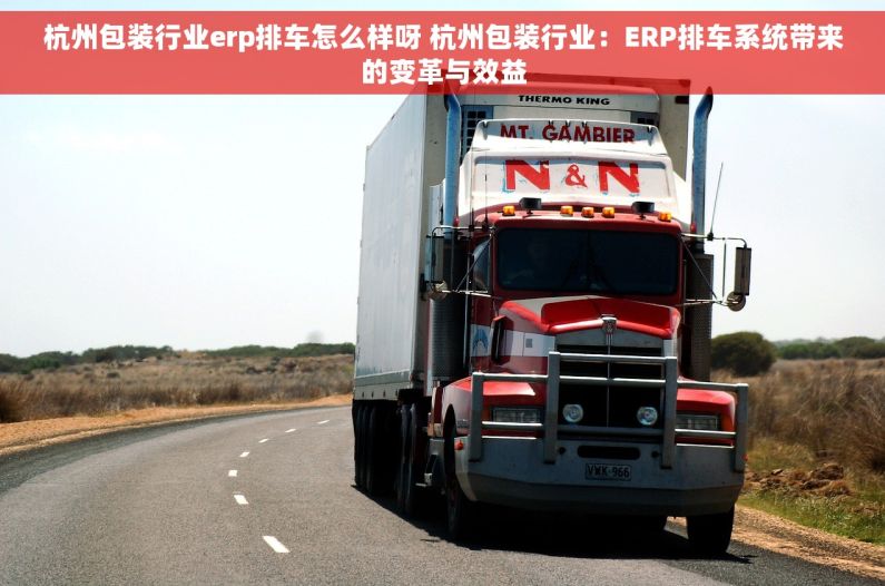 杭州包装行业erp排车怎么样呀 杭州包装行业：ERP排车系统带来的变革与效益