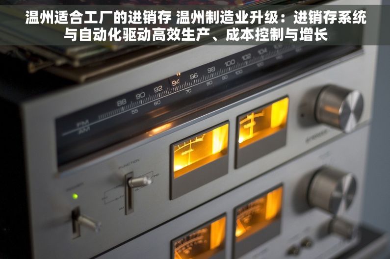 温州适合工厂的进销存 温州制造业升级：进销存系统与自动化驱动高效生产、成本控制与增长