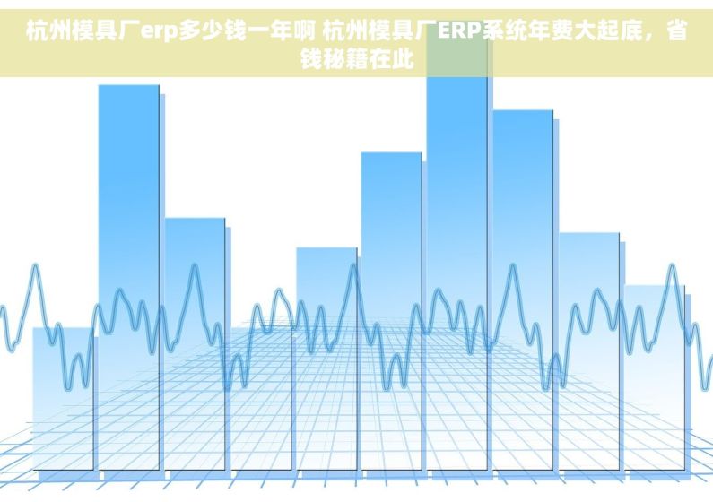 杭州模具厂erp多少钱一年啊 杭州模具厂ERP系统年费大起底，省钱秘籍在此