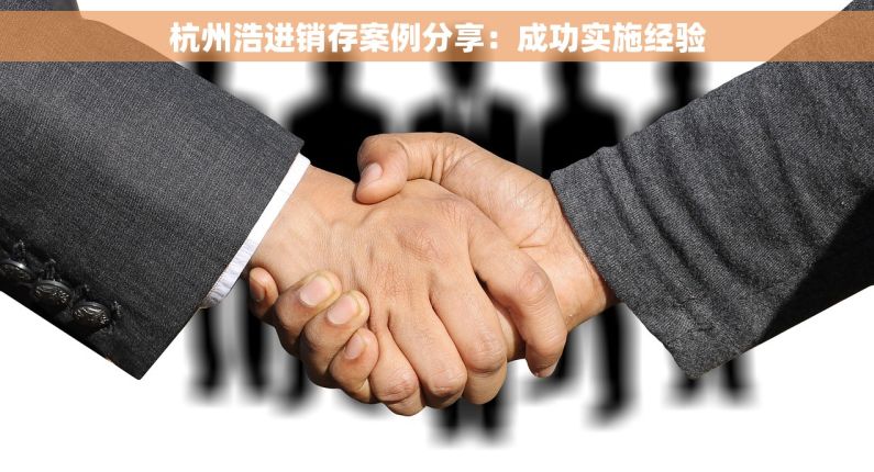 杭州浩进销存案例分享：成功实施经验