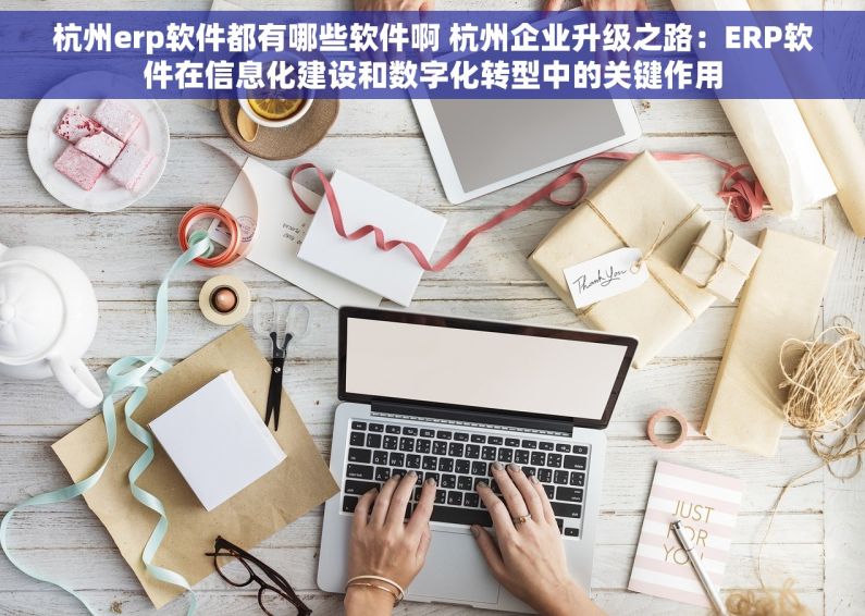 杭州erp软件都有哪些软件啊 杭州企业升级之路：ERP软件在信息化建设和数字化转型中的关键作用