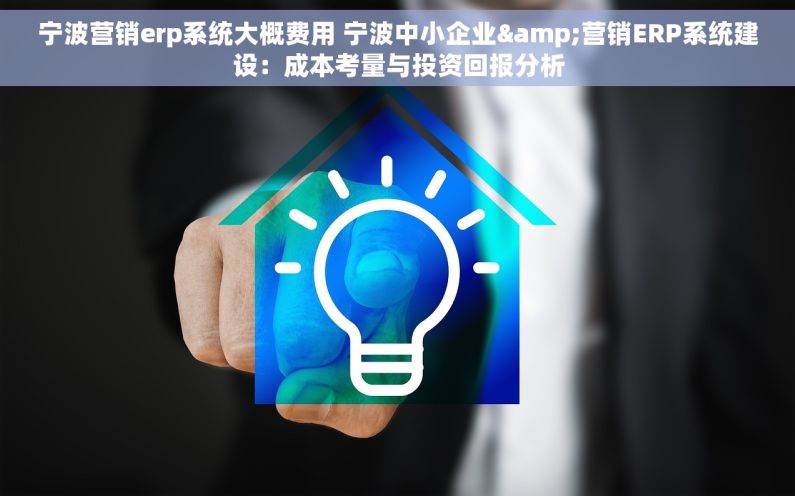宁波营销erp系统大概费用 宁波中小企业&营销ERP系统建设：成本考量与投资回报分析