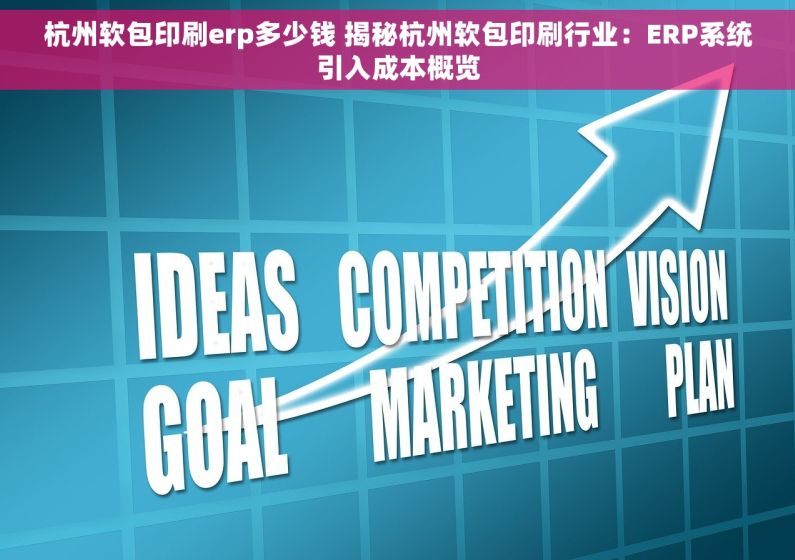 杭州软包印刷erp多少钱 揭秘杭州软包印刷行业：ERP系统引入成本概览