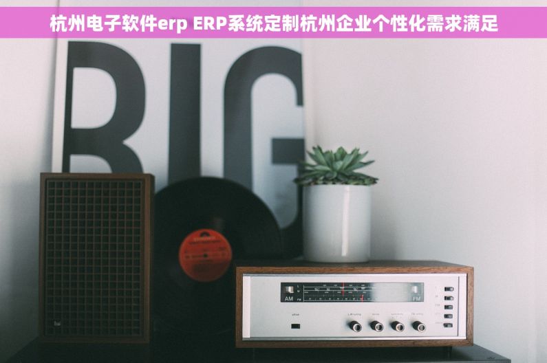 杭州电子软件erp ERP系统定制杭州企业个性化需求满足